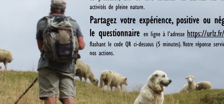 Enquête « Mon Expérience Avec les Chiens de Protection » Enquête « Mon Expérience Avec les Chiens de Protection »