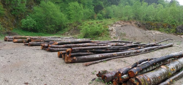Vente de bois bord de route