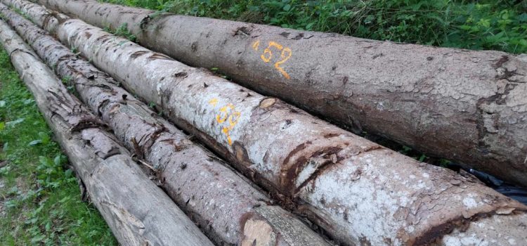 Vente de bois bord de route