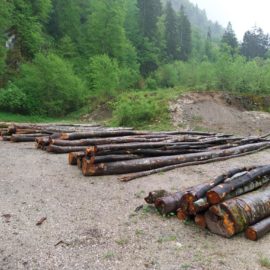 Vente de bois bord de route