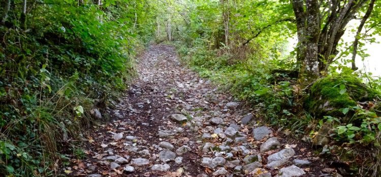 Matinée de l’environnement et d’entretien des sentiers communaux