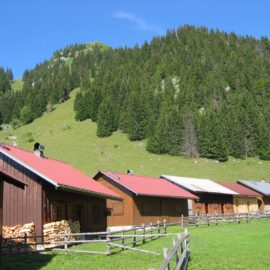 Fête de la Buchille
