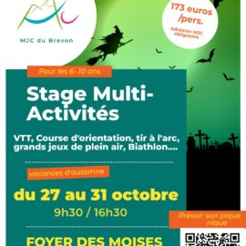 MJC stage multi activités