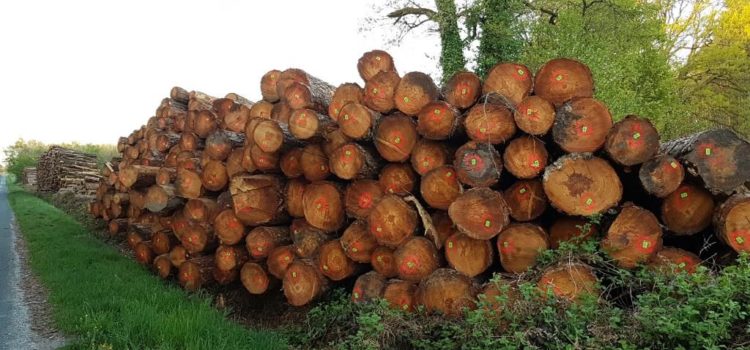Vente de bois bord de route