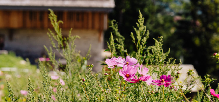 Offre d’emploi : responsable des espaces verts