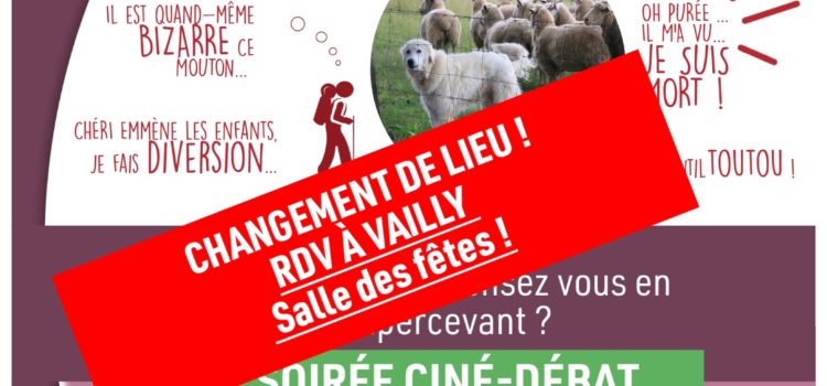 SOIRÉE CINÉ-DÉBAT