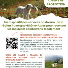 Randonneurs, promeneurs, vététistes : adoptons les bons réflexes en montagne ! Randonneurs, promeneurs, vététistes : adoptons les bons réflexes en montagne !