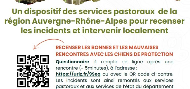Randonneurs, promeneurs, vététistes : adoptons les bons réflexes en montagne !