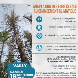 FORMATION : ADAPTATION DES FORÊTS FACE AU CHANGEMENT CLIMATIQUE FORMATION : ADAPTATION DES FORÊTS FACE AU CHANGEMENT CLIMATIQUE